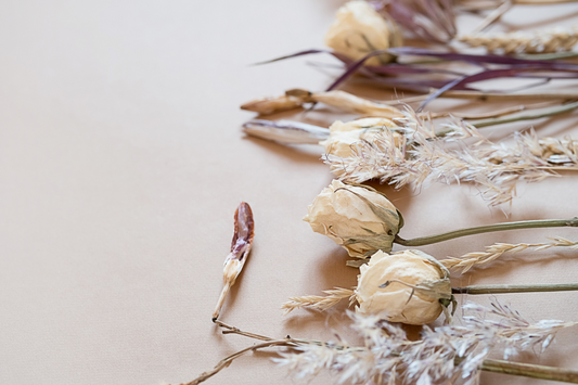 Tips for Drying and Pressing Flowers