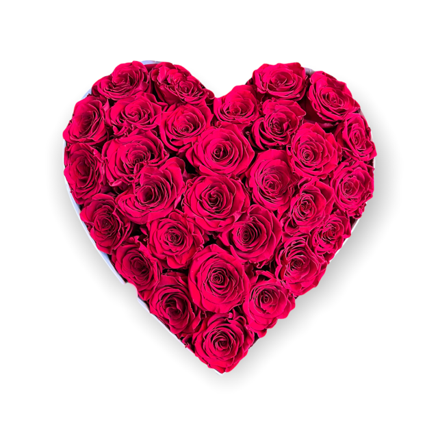 Forever Roses