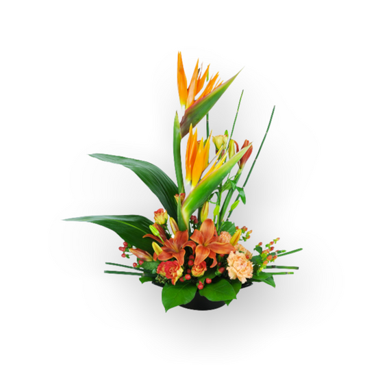 High-Rise Prize-Elevated elegance in a floral arrangement, perfect for celebrations